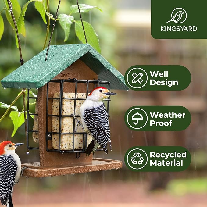 Kingsyard Double Suet Bird Feeder with Weatherproof Roof & Perch 2-Pack Heavy Duty Deck Hook