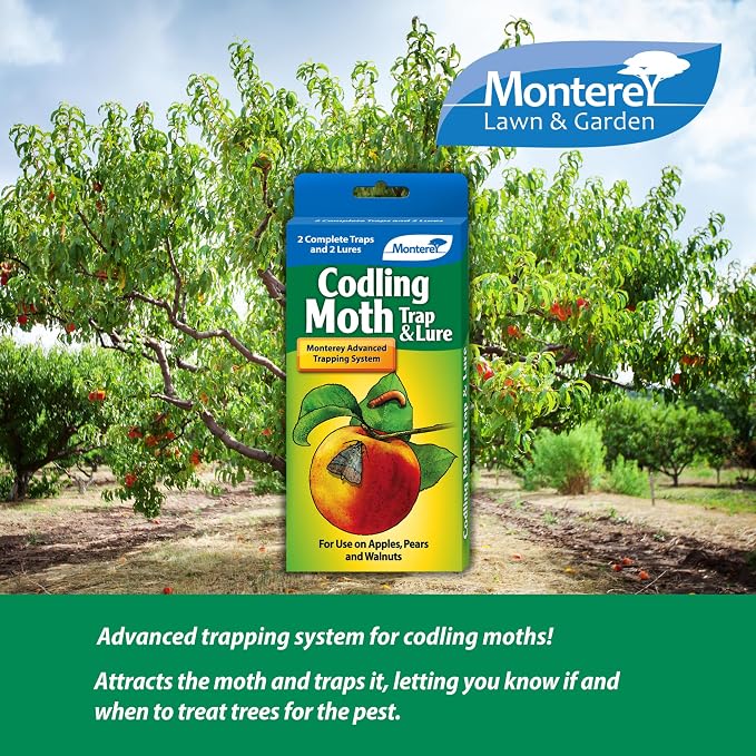 Monterey Codling Moth Trap & Lure - Organic, Pesticide-Free Fruit & Nut Tree Control for Apples, Pears, Walnuts, and Quince