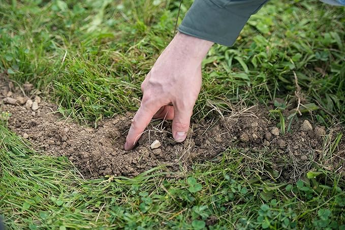 Tomcat Mole Killer(a) - Mimics Natural Food Source, Kills with a Single Feeding, Mole Killer for Lawns and Yards, 12 Worm Baits
