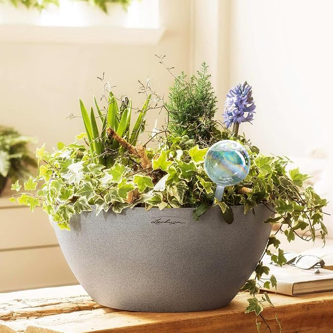 Clear Plant Watering Globes Set of 2 - Small Self Watering Globes for Indoor & Outdoor Plants - Automatic Glass Watering Bulbs for Daily Use, Plant Watering Devices