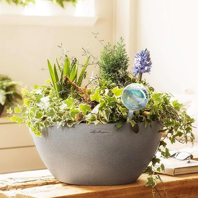 Clear Plant Watering Globes Set of 4 - Small Self Watering Globes for Indoor & Outdoor Plants - Automatic Glass Watering Bulbs for Daily Use, Plant Watering Devices