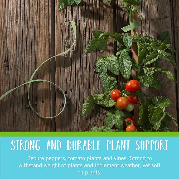 VELCRO Brand Adjustable Plant Ties | 75 ft x 1/2 in Green Garden Tape | Reusable, Cut-to-Length Hook & Loop Plant Support for Staking, Training & Organizing Tomatoes, Vines, and Flowers