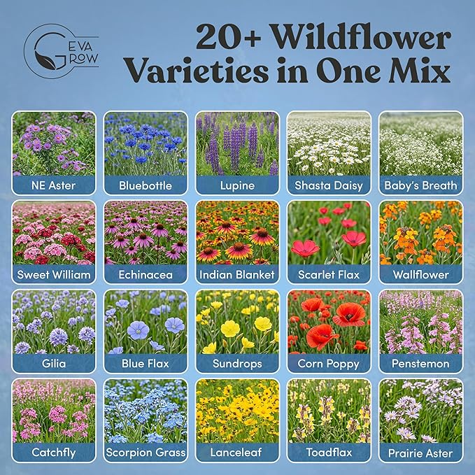 Regional Wildflower - Northeast USA Wildflowers - 100% Pure Seed - Organic, Non-GMO - 21 Wildflower Variety Seeds of Annual & Perennial, 1 LB Tub