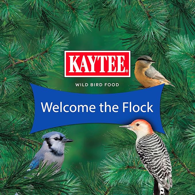 Kaytee Shelled Peanuts for Cardinals, Blue Jays, Woodpeckers and Other Outside Wild Birds, 11 Pounds