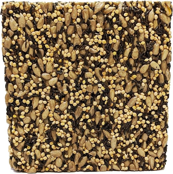 Songbird Treats Happy Finch Seed Cake - 6 Pack | 8 oz Wild Bird Cakes