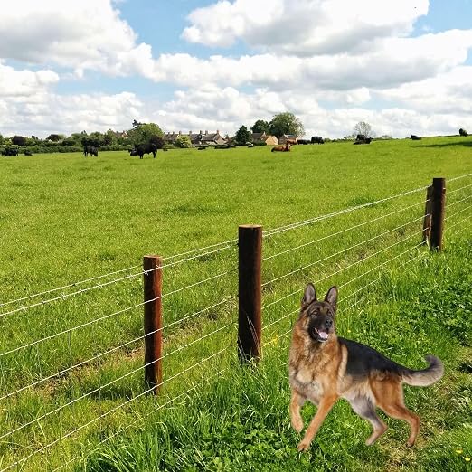 Farm Fence 3ft x 164ft Heavy Zinc Coating Cattle Fence,Galvanized Field Wire Fencing Deer Goat Hog Wire Fencing for Yard Livestock & Animals Protection
