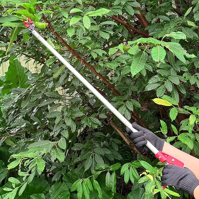 Tree Pruner, 3.3 FT Long Reach Pruner with SK5 Steel Blade, Aluminum Pole Tree Trimmer, Fruit Picking Tool, Bypass Pruner