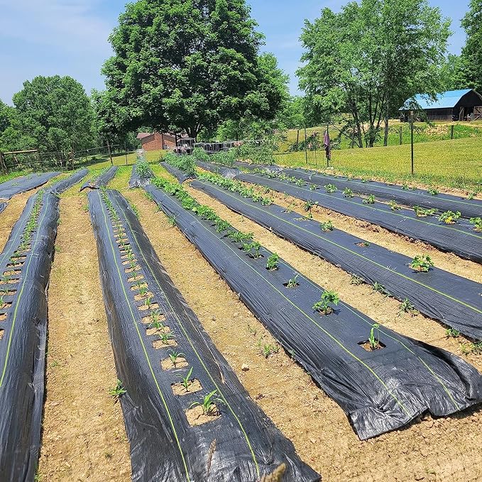 8ft x 300ft Durable Weed Barrier Fabric, 3oz Heavy-Duty Landscaping Fabric, Permeable Ground Cover for Garden, Lawn, and Outdoor Projects, Easy to Install, with 90 Staples