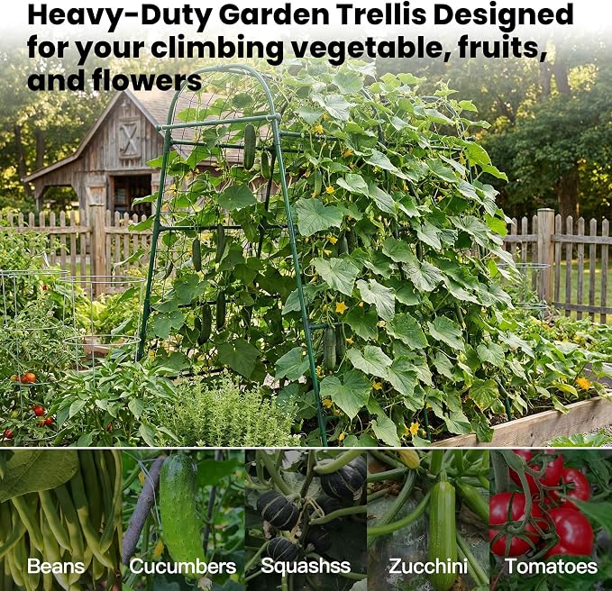 Garden Arch Trellis for Climbing Plants Outdoor, 7 Ft Tall Cucumber Trellis for Raised Bed, Metal Archway Arbor Trellis Support for Vegetables Beans Squash Peas Grape Vines Flowers