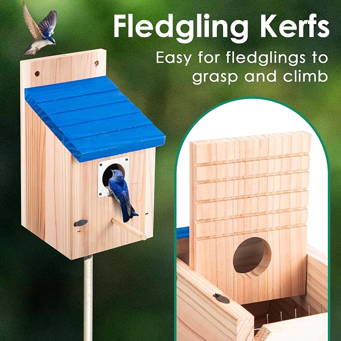 Dreyoo 8 Pack Bluebird Houses for Outside, 1-1/2'' Entrance Hole Wooden Bluebird Houses for Outdoors with Metal Guard, Secure Latch, Fledgling Grooves, Air Vents (Blue Roof with Wood Body)
