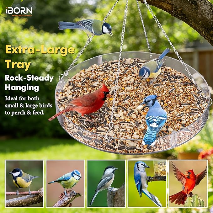 iBorn Bird Seed Catcher Tray, 5.9” Large Bird Feeder Tray Polycarbonate(PC), Squirrel Chew Proof Seed Catcher for Bird Feeder for Outdoors Hanging, Clear