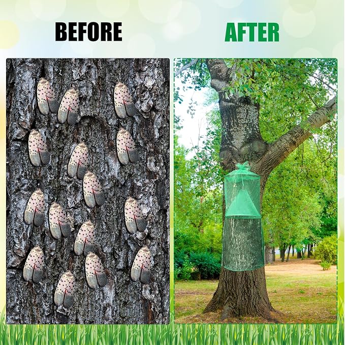Qualirey 1 Pack Spotted Lanternfly Traps Lantern Fly Killer Mesh Tree Trap with Jute Rope and Nails Effective Way to Catch Lantern Flies and Nymphs (Green)