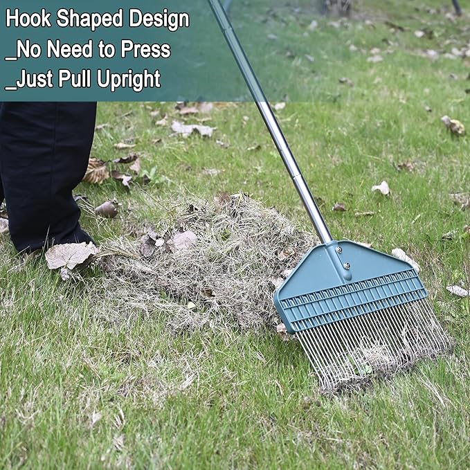 YEELOR Thatch Rake with 66 Inch Adjustable Handle, 17 Inch Wide Durable Dethatcher Rake, Ideal for Garden, Yard and Lawn, Used for Removing Thatch, Pine Needles, Burrs and Acorns