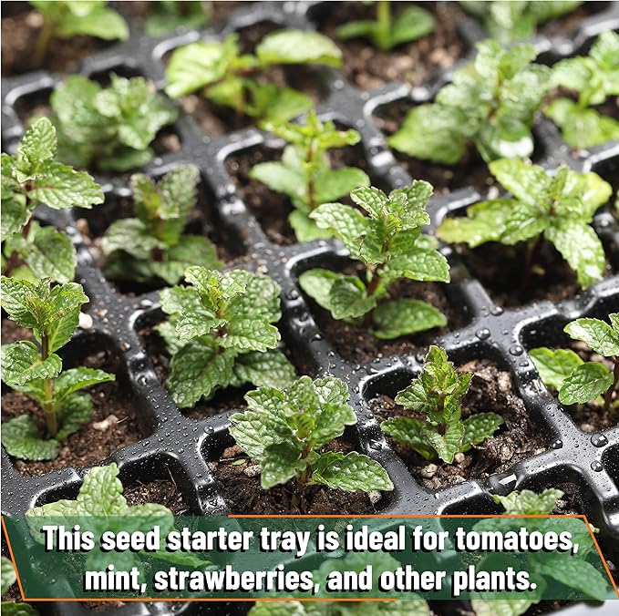Mr. Pen- Seed Starter Tray Kit, 5 Pack, Total 350 Cells, Durable Plant Germination Trays with Humidity Vented Domes and Bases, Ideal for Seed Starting, Indoor Gardening and Greenhouse