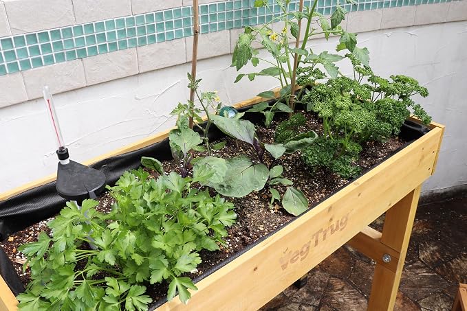 VegTrug® Self Watering Kit for Wall Hugger Small 1m