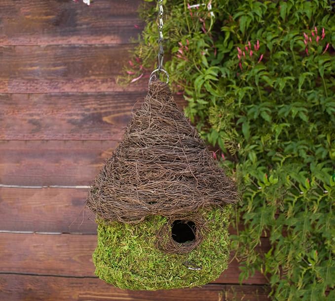 SuperMoss (56013) Bungalow Birdhouse with Chain, 11 by 15-Inch, Fresh Green