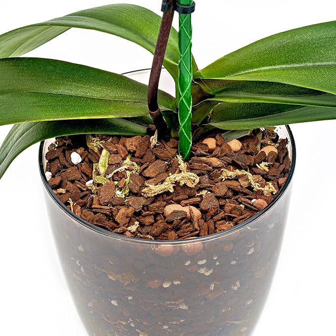 Premium Orchid Soil Mix by Gardenera - Hand Mixed New Zealand Pinus Radiata 100% Natural Potting Soil Bark Mix - for Phalaenopsis Orchid - 3 Quart - Made in USA