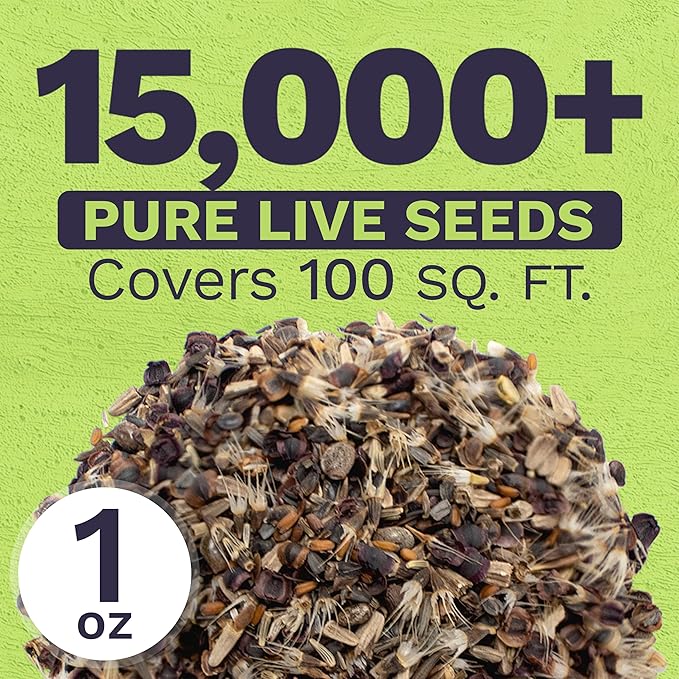 Perennial Wildflower Seeds Mixture - Bulk 1 Ounce Packet - Over 15,000 Pure Live Seed - Open Pollinated and Non GMO…