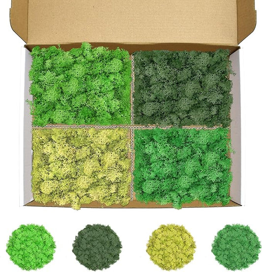 Preserved Reindeer Moss 14 OZ 4 Colors for DIY Gift, Potted Plants,Craft Decor,Wall Art,Festive Home Decorative Christmas(Green, Dark Green, Yellow Green and Emerald Green, Each Color 3.5 OZ)