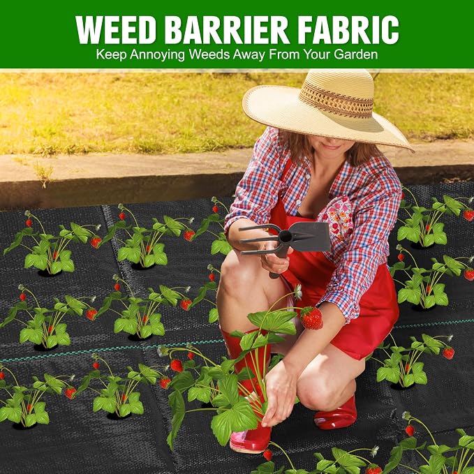 2FT x 100FT Weed Barrier Landscape Fabric Heavy Duty, 3.2oz Premium Gardening Weed Control Mat with 10 U-Shaped Securing Pegs, Ground Cover for Garden Beds, Farming, Underlayment, Commercial Driveway