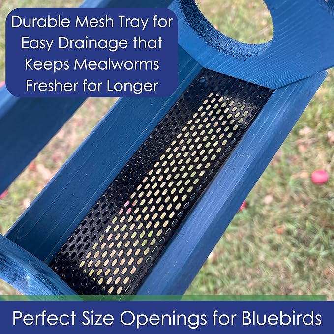 Petite Bluebird Feeder with Plexiglass Roof and Powder Coated Steel Mesh Basket Bird Feeder Tray