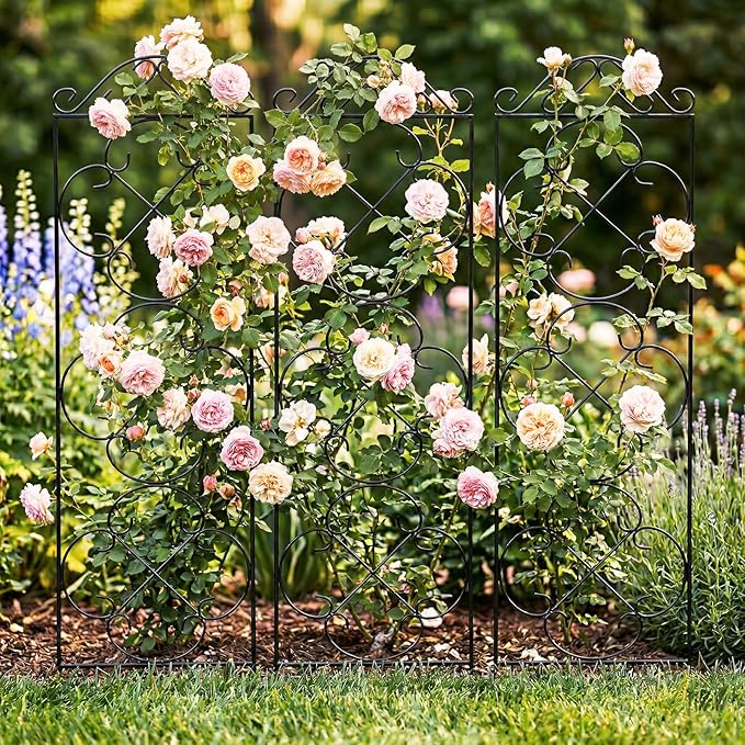 Thealyn Garden Trellis for Climbing Plants, 4 Pack 56" x 13.8" Metal Trellis for Potted Plants and Planters, Rust-Resistant Plant Support for Indoor Outdoor Use, Black