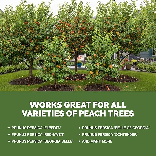 Peach Tree Fertilizer – Liquid Peach Tree Plant Food for Healthy Growth & Fruit Production, 32 oz