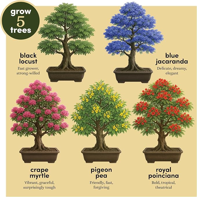 Planter's Choice Bonsai Tree Starter Kit - Birthday Gifts for Women, Men, Adults - Indoor Live House Plants - DIY Adults Craft Kits - Unique Hobby Gift Gardening Lovers - Gift Ideas Mom, Her, Friend