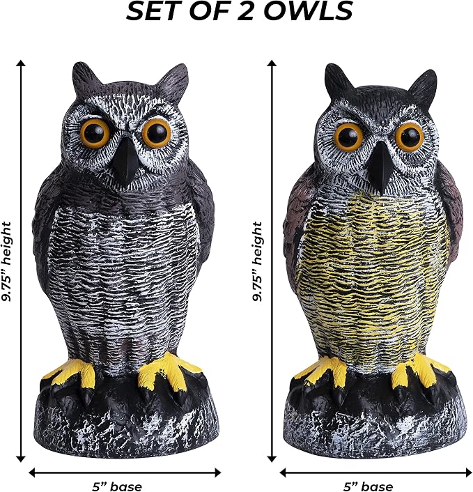 Owl Decoy to Scare Birds Away | Plastic Owls to Scare Birds Away | Owl Statue for Garden & Outdoors By Galashield [Set of 2]