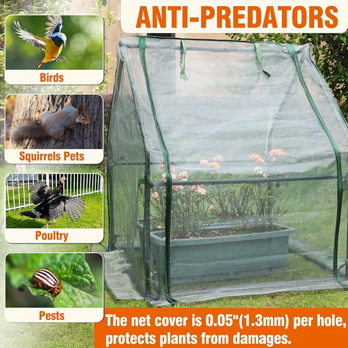 Gardzen Mini Greenhouse with Zipper Mesh Cover, Steel Frame Portable Outdoor Greenhouse, Enhanced Ventilation, Ideal for Spring, Summer & Fall 36.2"(L) x36.2(W) x42.5(H)