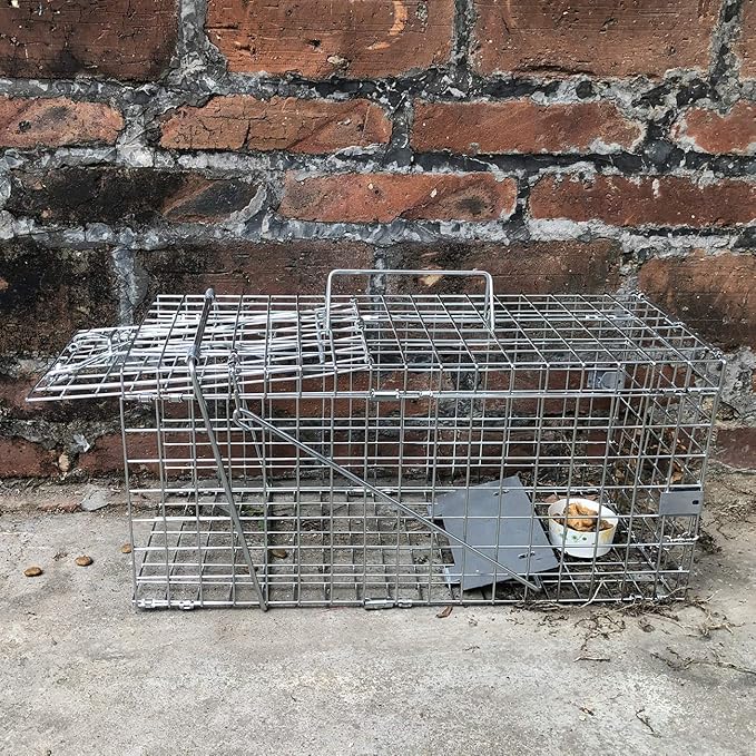 Gingbau Squirrel Trap Foldable Heavy Duty Humane Live Animal Cage Trap (Not for Mouse)