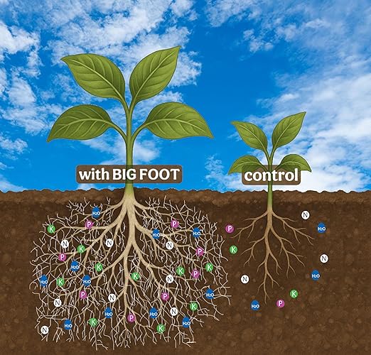 Big Foot Probiotic Root Boost Water Soluble Powder For Established Plants and Transplants - GROW ROOT SIZE, Increase Nitrogen, Grow New Plants from Cuttings, Pea Inoculant - 32 Ounces