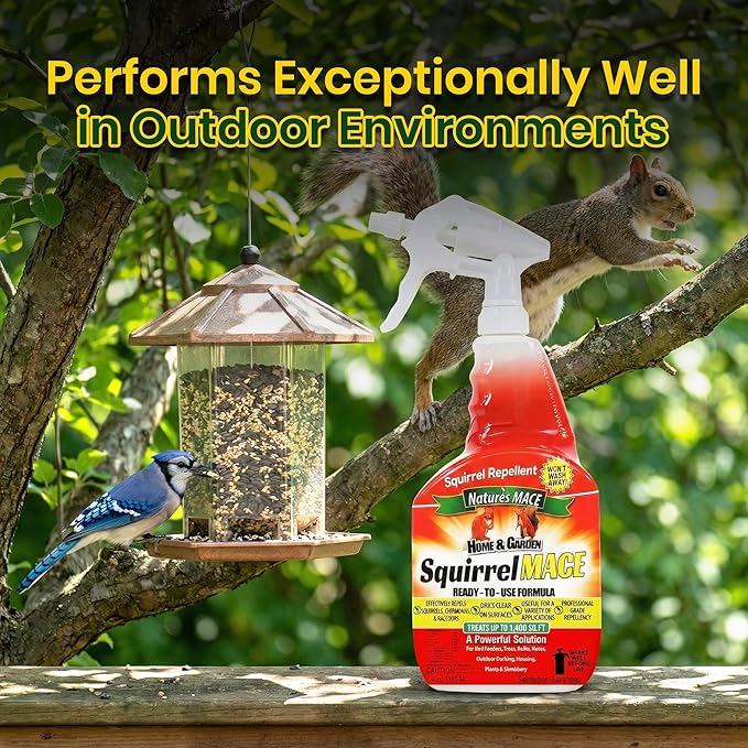 Nature's Mace Squirrel Mace, Squirrel Repellent Outdoor, 40 Ounce Spray, Squirrel and Chipmunk Repellent, Keep Squirrels Out of Your Garden, Attic, Bird Feeders, Fruit Trees, Plants, Potted Plants