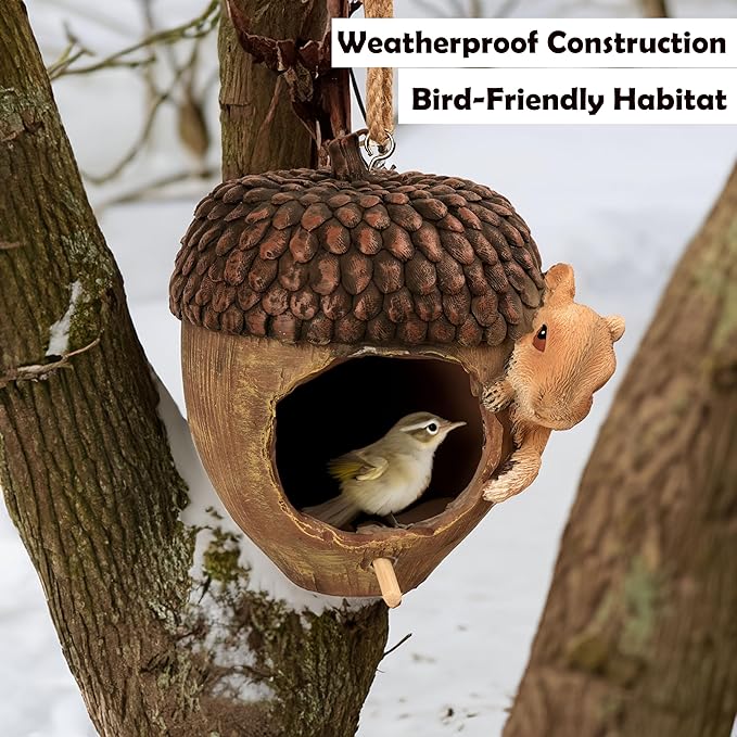 Hanging Bird Houses for Outside, Acorn-Shaped Resin Birdhouse with Squirrel Design for Outdoors Decorative Birdhouses,