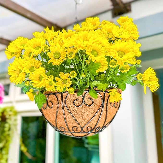 LaLaGreen Hanging Baskets for Plants (16 Inch, 4 Pack) Extra Large Hanging Flower Pot with Coco Liner Black Metal Wire Round Plant Holder with Hanger Hook Chain Outdoor Patio Deck Balcony Garden Decor