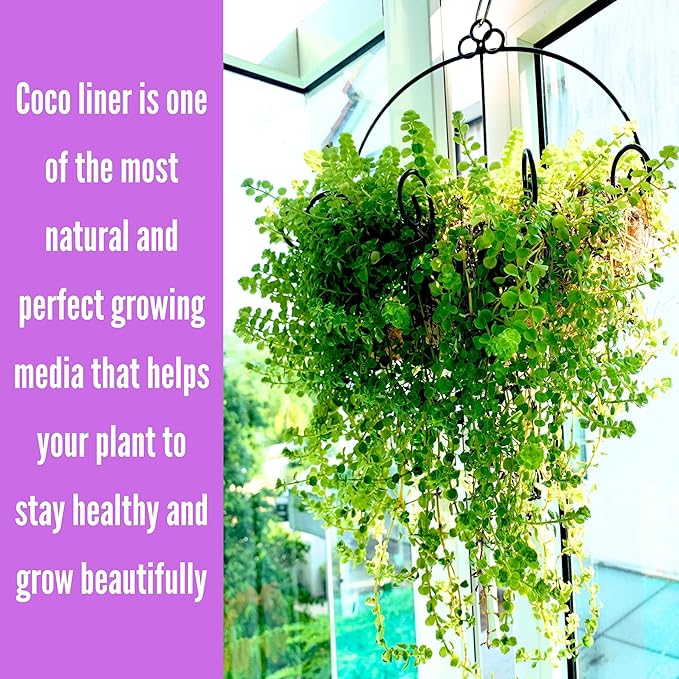ShopLaLa Wall Planters Outdoor Plants (10 Pack, 10 Inch) Balcony Planters Railing Hanging Fence Planter Over Railing Planters Coco Liner, Wall Mounted Flower Basket Metal Wire Deck Porch Patio Garden