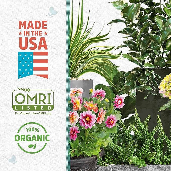 Back to The Roots 100% Organic Perlite | Made in The USA | Premium Nutrition for Indoor and Outdoor Plants