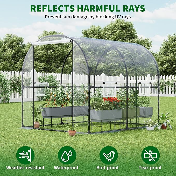 GarveeHome 6.6X8.2x6.6 Tunnel Greenhouses, Heavy Duty Walk-in Greenhouse for Outdoors with PE Cover, Instant Pop-Up Sturdy Metal Frame Hoop House with Zippered Roll-Up Door &4 Ventilated Mesh Windows