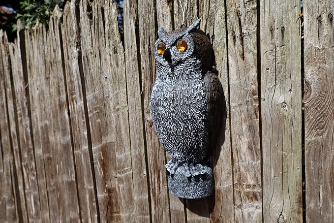 Sparkle Sentinel Owl Decoy with Glowing Eyes Half Body with Hollow Back Easy to Hang