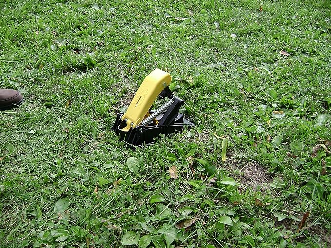 Tomcat Mole Trap, Innovative and Effective Mole Remover Trap Kills Without Drawing Blood, Reusable and Hands-Free, 2 Traps