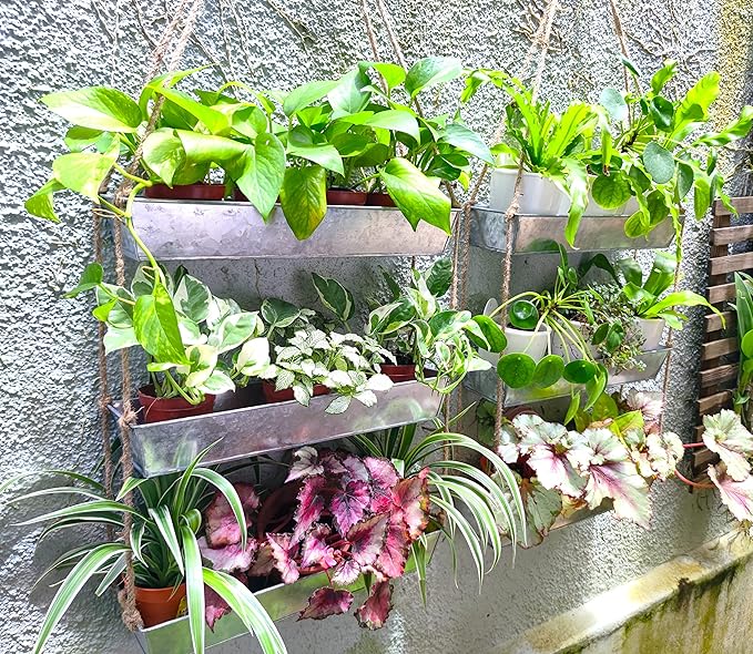LaLaGreen Bundle - 3 Tier, 16 Inch Wall Hanging Planter + 10 Pack, 6 Inch Silver Metal Flower Pots Deck Railing Fence Balcony, Succulent Rectangle Long Large Hanging Vertical Shower Plant Garden Decor