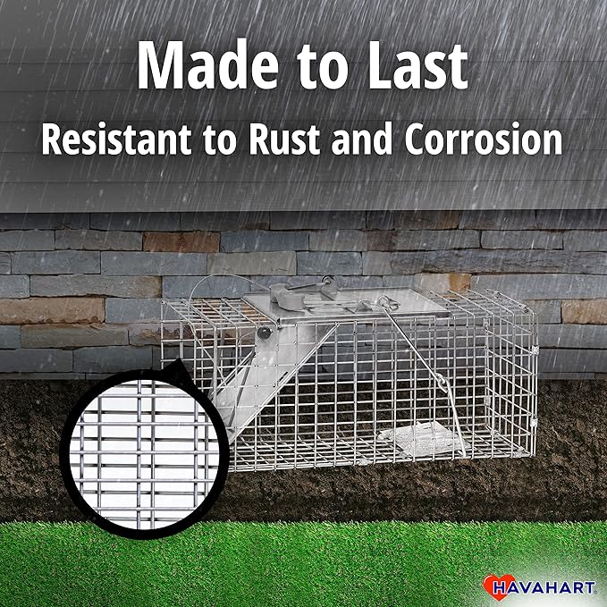 Havahart Easy-Set Catch and Release Small 1-Door Humane Live Animal Trap for Squirrels, Rabbits, Skunks, and Other Small Animals - 1083