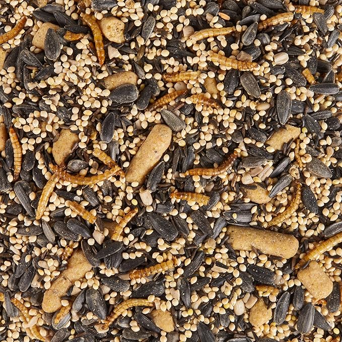 Kaytee Wild Bird Food, Spring Migration Seed Blend, 8 lb