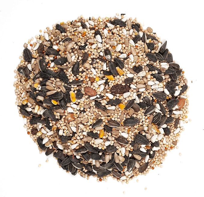 Squirrel Buster Mini Squirrel-Proof Bird Feeder w/4 Metal Perches, 0.98-Pound Seed Capacity & Wagner's 62034 Greatest Variety Blend Wild Bird Food, 6-Pound Bag