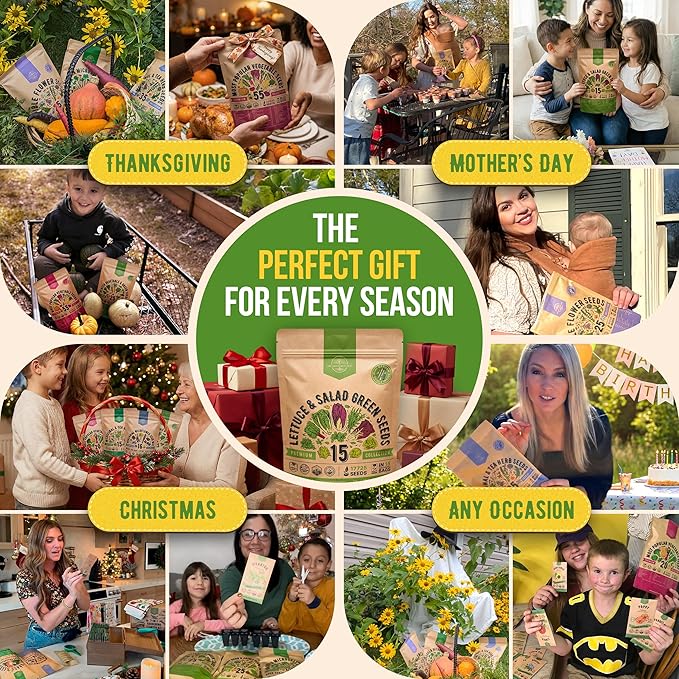 Organo Republic 15 Lettuce & Salad Greens Seeds Variety Pack 17700+ Non-GMO Heirloom Lettuce Seeds for Indoors & Outdoors Garden, Hydroponics, Aerogarden - Arugula, Kale, Spinach, Swiss Chard, Lettuce