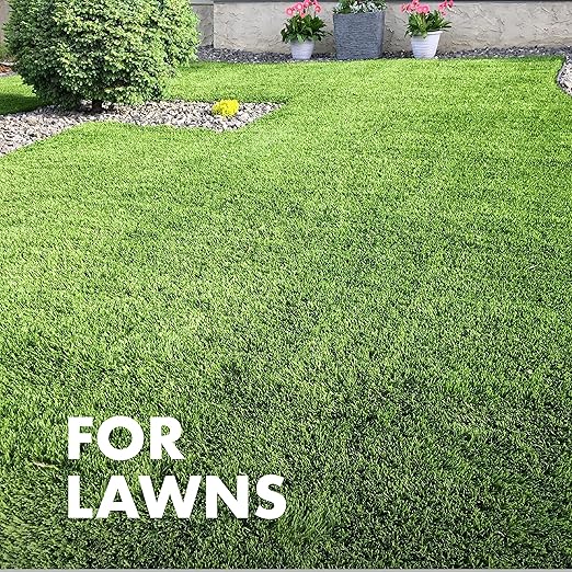 Spectracide Immunox Fungus Plus Insect Control For Lawns 32 Ounces, Dual Action, Hose-End Concentrate, 6 Pack