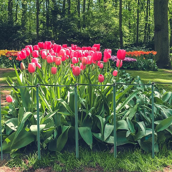 TCBWFY 24"Hx10"D Plant Supports Stakes for Large Heavy Plants,20 Pack Peony Supports,Heavy Duty 4.5mm Wire Peony Cages,Interlock Garden Supports Ring Border Support,Plant Support Cage for Rose Flowers