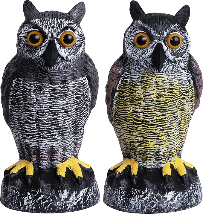 Owl Decoy to Scare Birds Away | Plastic Owls to Scare Birds Away | Owl Statue for Garden & Outdoors By Galashield [Set of 2]