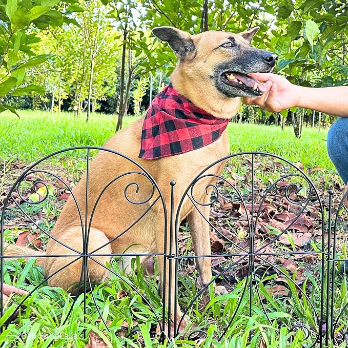 ShopLaLa Decorative Garden Fence (10 Panels) 12.5in(L) x 16.5in(H) Rustproof Black Metal Wire, Animal Barrier Fences for Dogs, Flower Bed Edging Landscape Border Yard Patio Butterfly Outdoor Decor