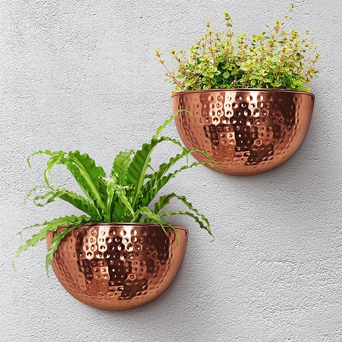 Allegorie Metal Wall Planter | Indoor or Outdoor Hanging Plant Pot | Farmhouse Decor & Boho Kitchen Decoration for Herbs & Succulents and Living Wall 12x7 (Copper)
